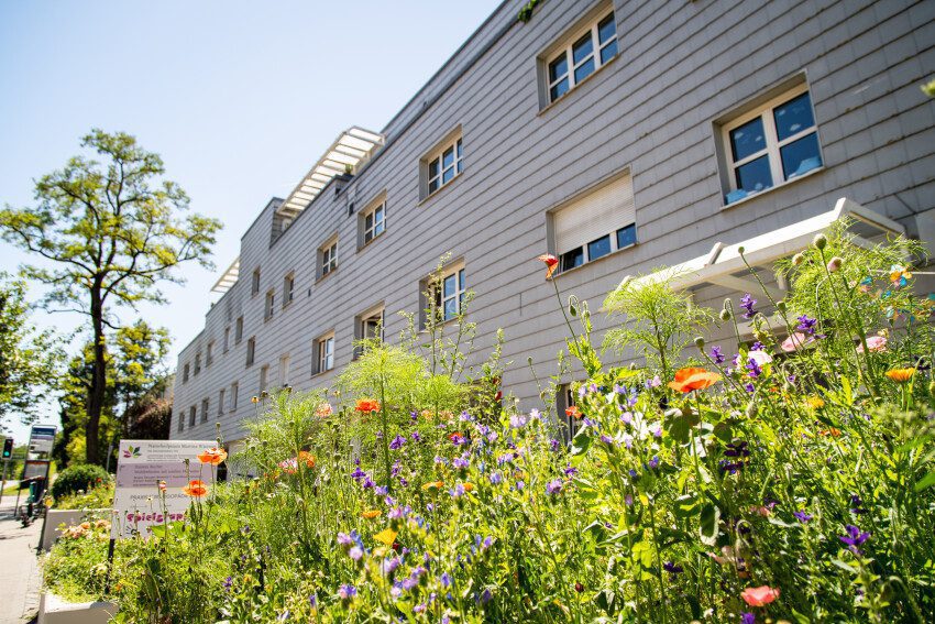 Blumen vor dem Mehrfamilienhaus, dass Verwaltungsgebäude genannt wird (Etappe 21