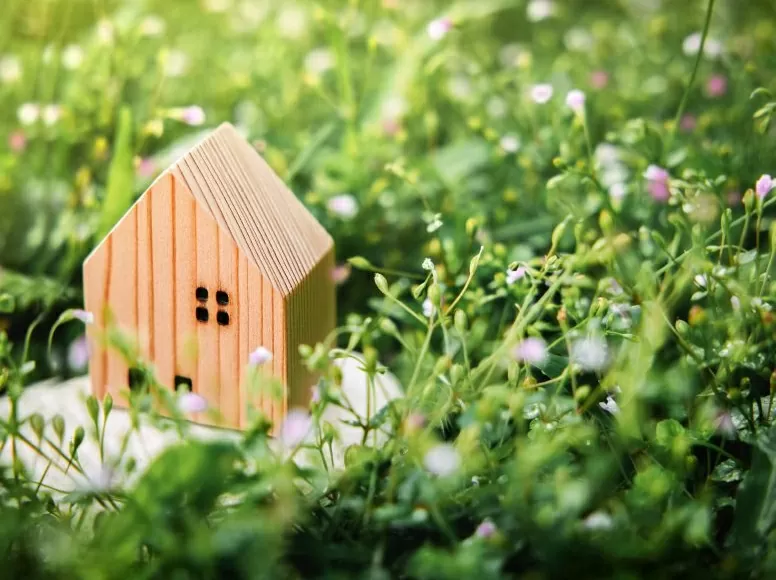 Holzmodellhaus in der Wiese