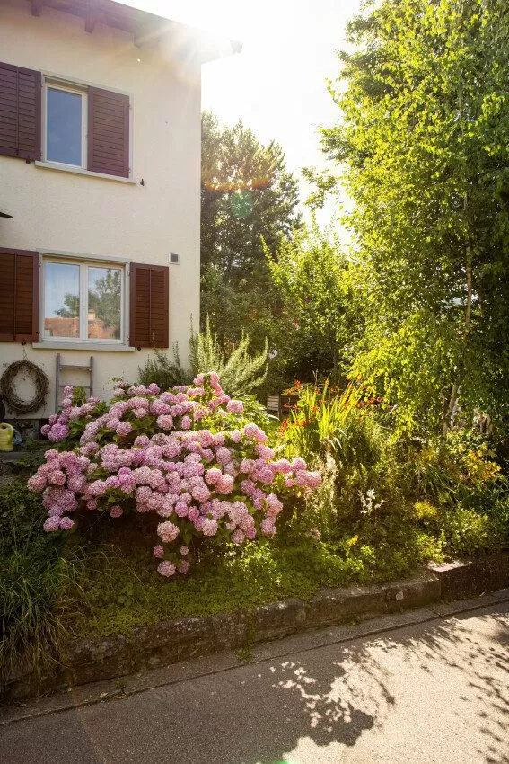 Teilaufnahme eines Reihen-Einfamilienhauses mit Garten in der FGZ-Siedlung Rossweidli, Langweig, Oberer Kleinalbis (Etappe 12)