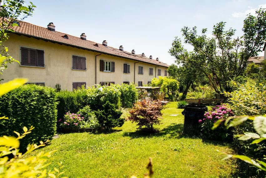 Reihen-Einfamilienhäuser mit Garten in der FGZ-Siedlung Rossweidli, Langweig, Oberer Kleinalbis (Etappe 12)
