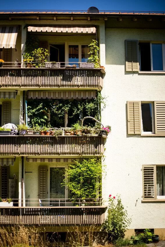 Nahaufnahme von 3 Balkons mit Pflanzen darauf, aufgenommen in der FGZ-Siedlung Schweigmatt (Etappe 15)