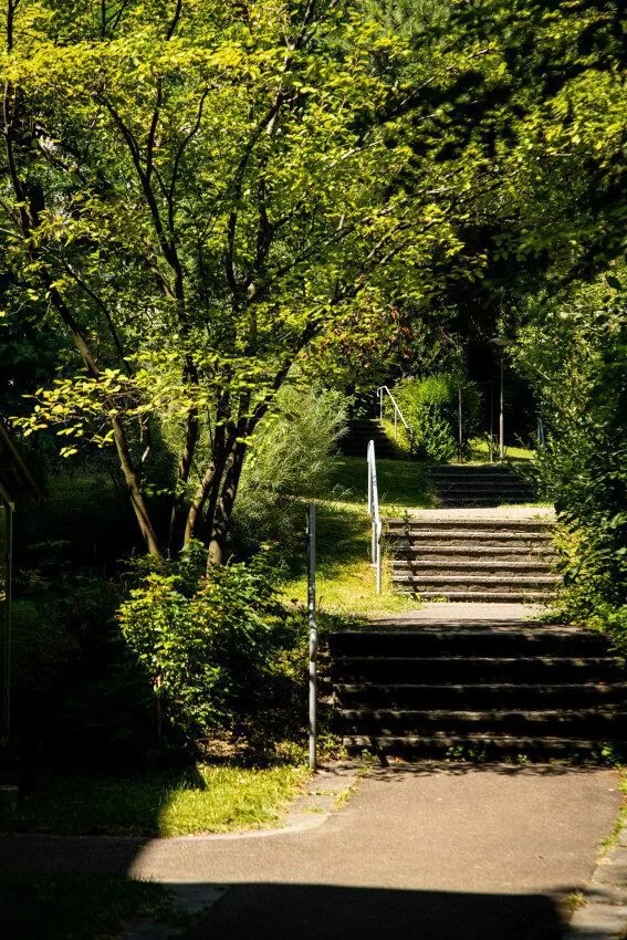 Treppe im begrünten Aussenraum der FGZ-Siedlung Hegianwandweg (Etappe 17)