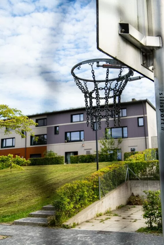 Basketballkorb vor Reihen-Einfamilienhäuser in der FGZ-Siedlung Grünmatt (Etappe 3)