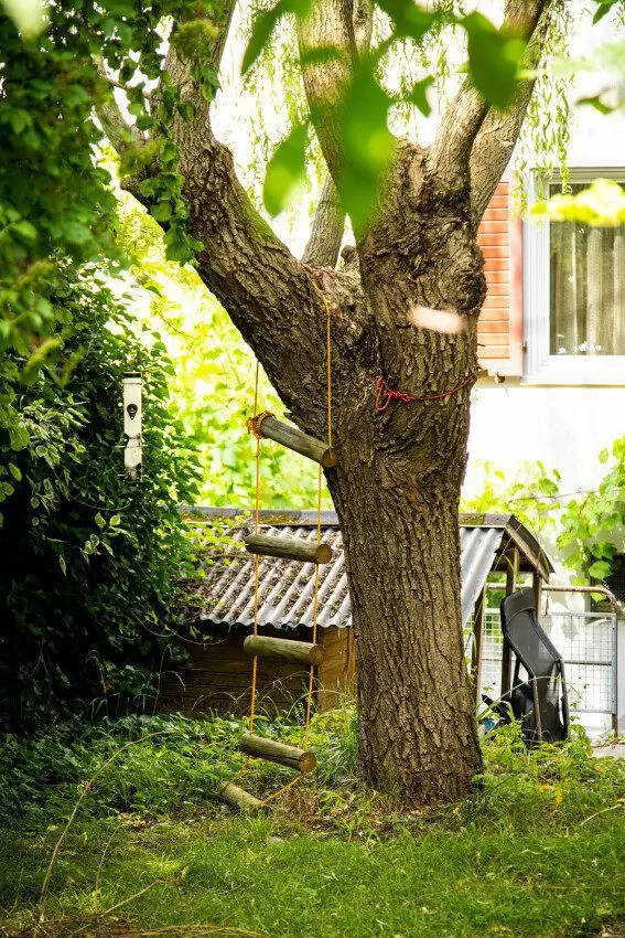 Hängeleiter an Baum im Garten eines Reihen-Einfamilienhauses der FGZ-Siedlung Kleinalbis (Etappe 5)