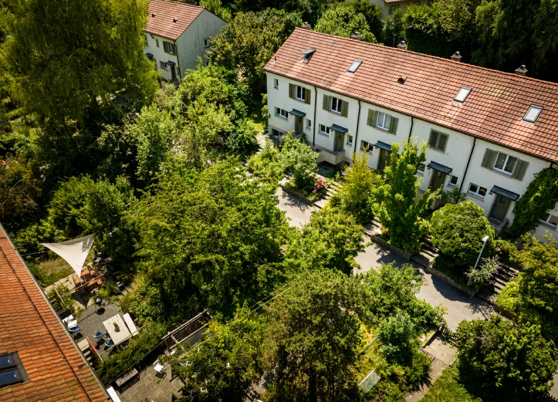 Luftaufnahme der FGZ-Siedlung Grossalbis (Etappe 8). Sichtbar sind Häuser und viel Garten.
